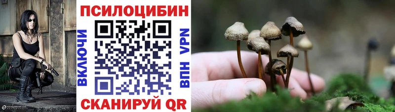 Галлюциногенные грибы Cubensis Каменск-Уральский
